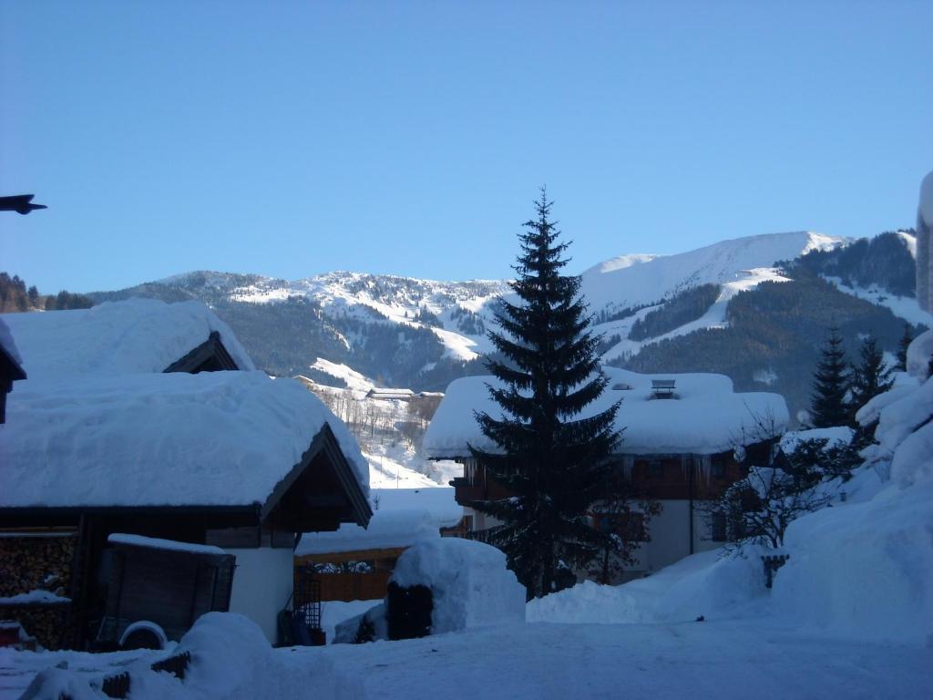 Apartamento Haus Rieder Georg Maria Alm am Steinernen Meer Exterior foto