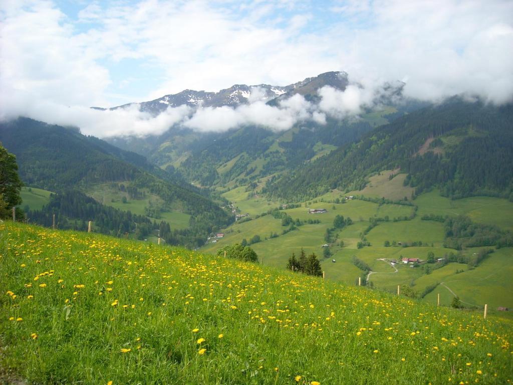 Apartamento Haus Rieder Georg Maria Alm am Steinernen Meer Exterior foto