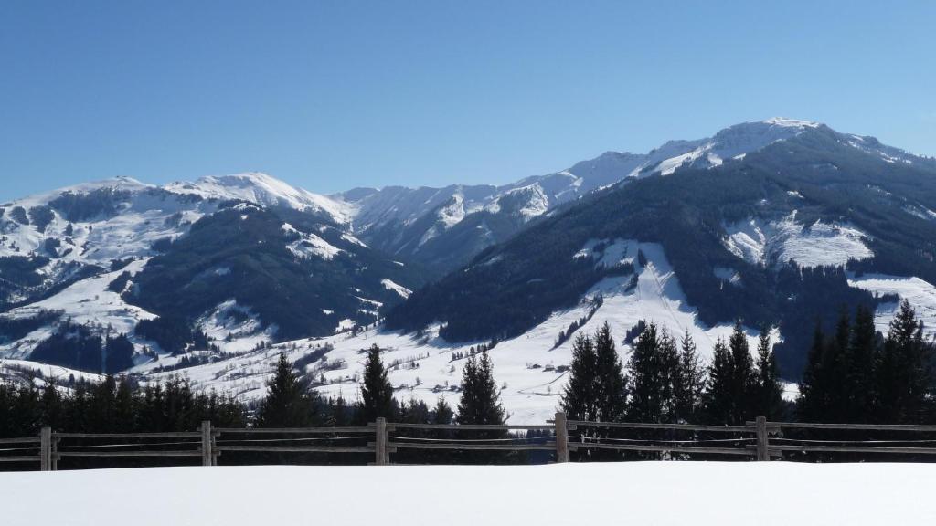 Apartamento Haus Rieder Georg Maria Alm am Steinernen Meer Exterior foto